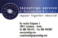 Tecnofrig Service